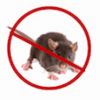 Rat And Mouse Sound Repeller Giveaway