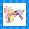 Ear Med Giveaway