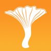 My Mushroom Spots Giveaway
