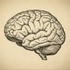 Knowledge Snack Giveaway