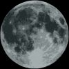 Geneva Moon Giveaway