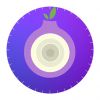 Purple Onion - TOR Browser VPN Giveaway