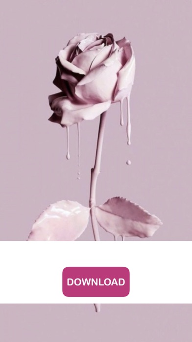 Προσφορά της Ημέρας για iPhone - Girly Wallpapers - Cute & Pink