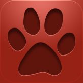 NFL Quarterback 13 Giveaway