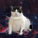 CatPaint Giveaway