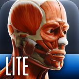 Anatomy In Motion - Shoulder Muscles Flashcards Giveaway