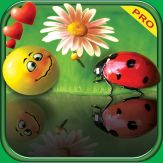 Rare Wallpapers © Pro Giveaway