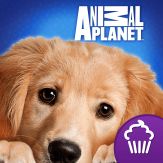Animal Planet Hide & Seek Pets Giveaway