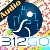 Chicago's Smart Guide - 312Go Giveaway