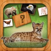 Animals Match Card Game Giveaway