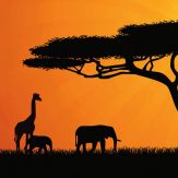 Troops, Pods & Parades II Giveaway