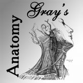 Gray's Anatomy 2014 Giveaway
