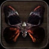 MirrorWorld by Cornelia Funke Giveaway