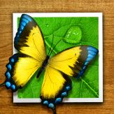 Perfect Photo Giveaway