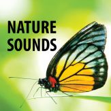 Nature Sounds Giveaway