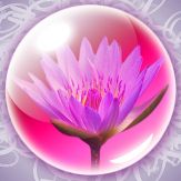 Zepi:Spring Giveaway