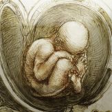 Leonardo da Vinci: Anatomy Giveaway