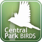 Audubon Bird Guide: Central Park Giveaway