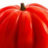 BCN Cuisine Giveaway