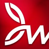 DRAWings Snap Giveaway