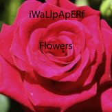 iWaLlpApERf - Flowers Wallpaper Giveaway