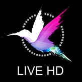 Live HD - Relaxing and Positive Live Wallpapers HD for iPhone 6s and 6s+ Giveaway