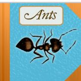The Strange & Wonderful World of Ants Giveaway