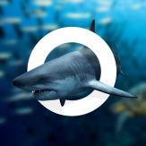 Amazing World OCEAN - Interactive 3D Encyclopedia Giveaway