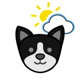 Puppy Weather Forecast Giveaway