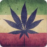 Cannabapp Giveaway