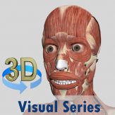 Visual Muscles 3D Giveaway