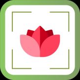 PlantDetect - Plant Identifier Giveaway