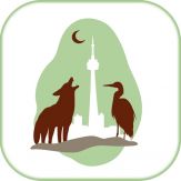 Wildlife Help - Toronto Wildlife Centre Rescue Injured, Sick & Orphaned Wild Animals Giveaway