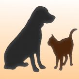 iPetCare: Care for Dogs & Cats Giveaway