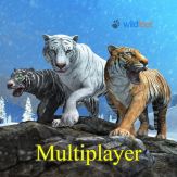 Tiger Multiplayer - Siberia Giveaway