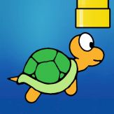 Splashy Turtle Giveaway