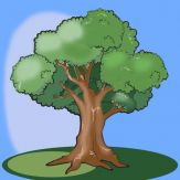 Central Park NYC Giveaway