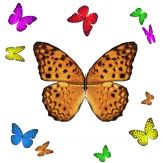 1001 Butterflies Giveaway