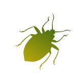 Insecta: Giveaway