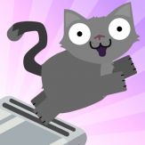 Toasty Crackers - Flip the Cat Giveaway