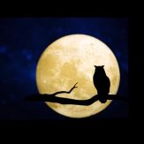 Dark Mode for  browser Giveaway