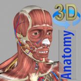 3D Anatomy Giveaway
