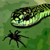 Tarantula vs Snake Giveaway