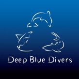 Deep Blue Divers Fish Guide Giveaway