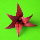 Origami Flowers Giveaway
