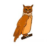 Guard7-Lite Giveaway