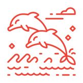 Dolphins Connect Giveaway