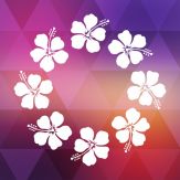 Maui Offline Island Guide Giveaway