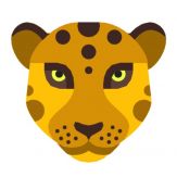 Morph - Face Story Maker Giveaway