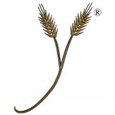 Yoshon.com Mobile App Giveaway